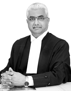 Judge